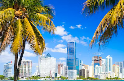 panoramic miami sightseeing tour