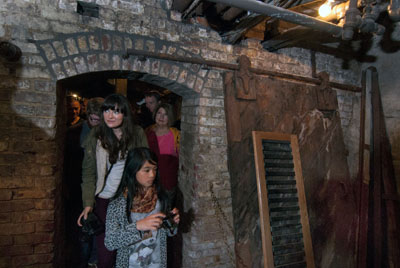 tropical plantation tour florida panther